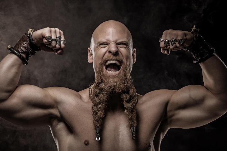 Split Braid Viking Beard