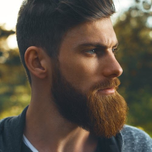 Big Beautiful Beards