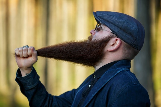Terminal Beard Length
